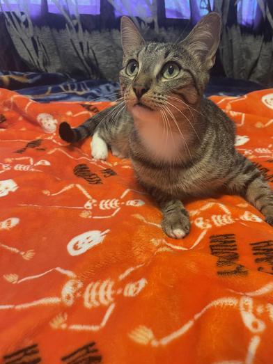 Mama Bella