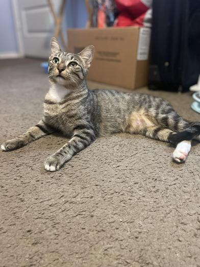 Mama Bella