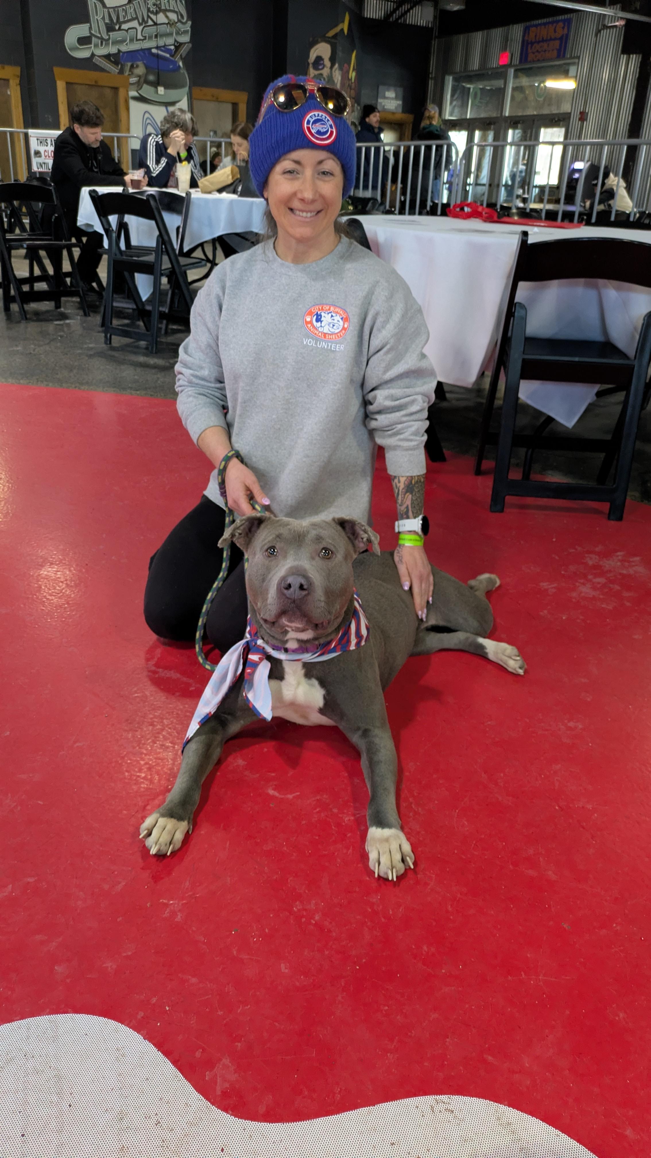Enlarge Nancy, an adopted Pit Bull Terrier in Buffalo, NY image 6/6
