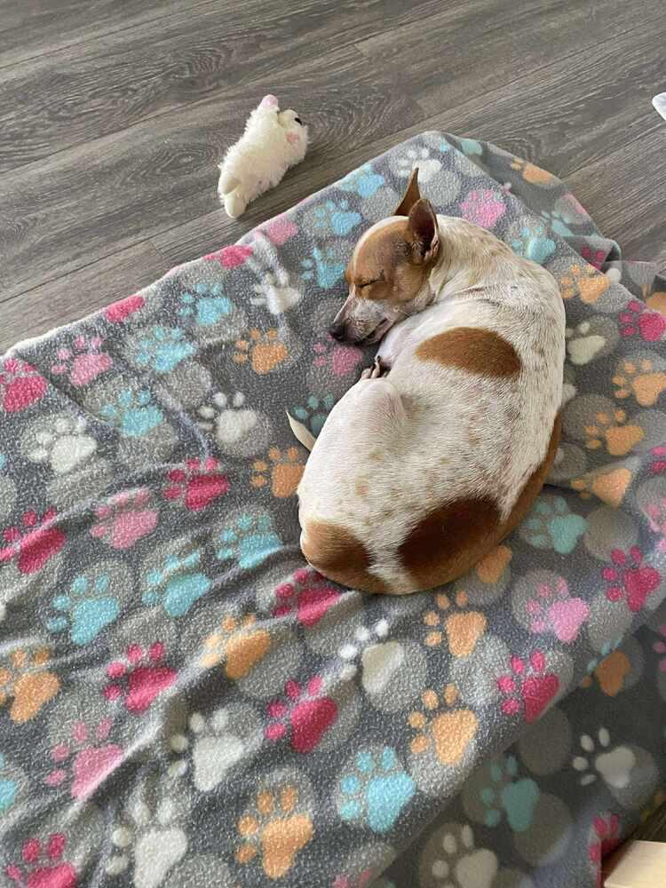 Trina — thumbnail 2