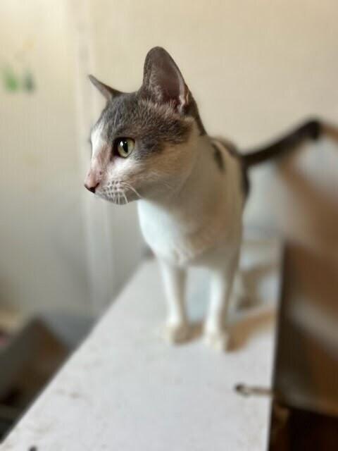 Beary — thumbnail 4