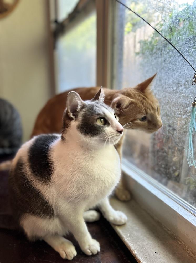 Beary — thumbnail 5