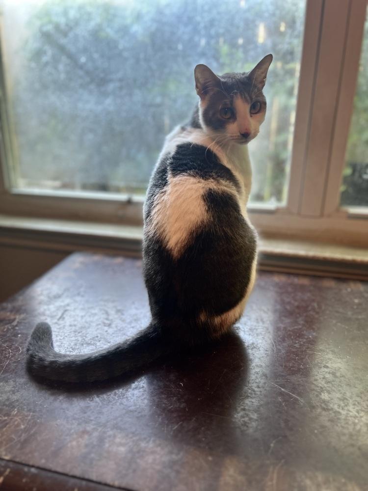 Beary — thumbnail 6