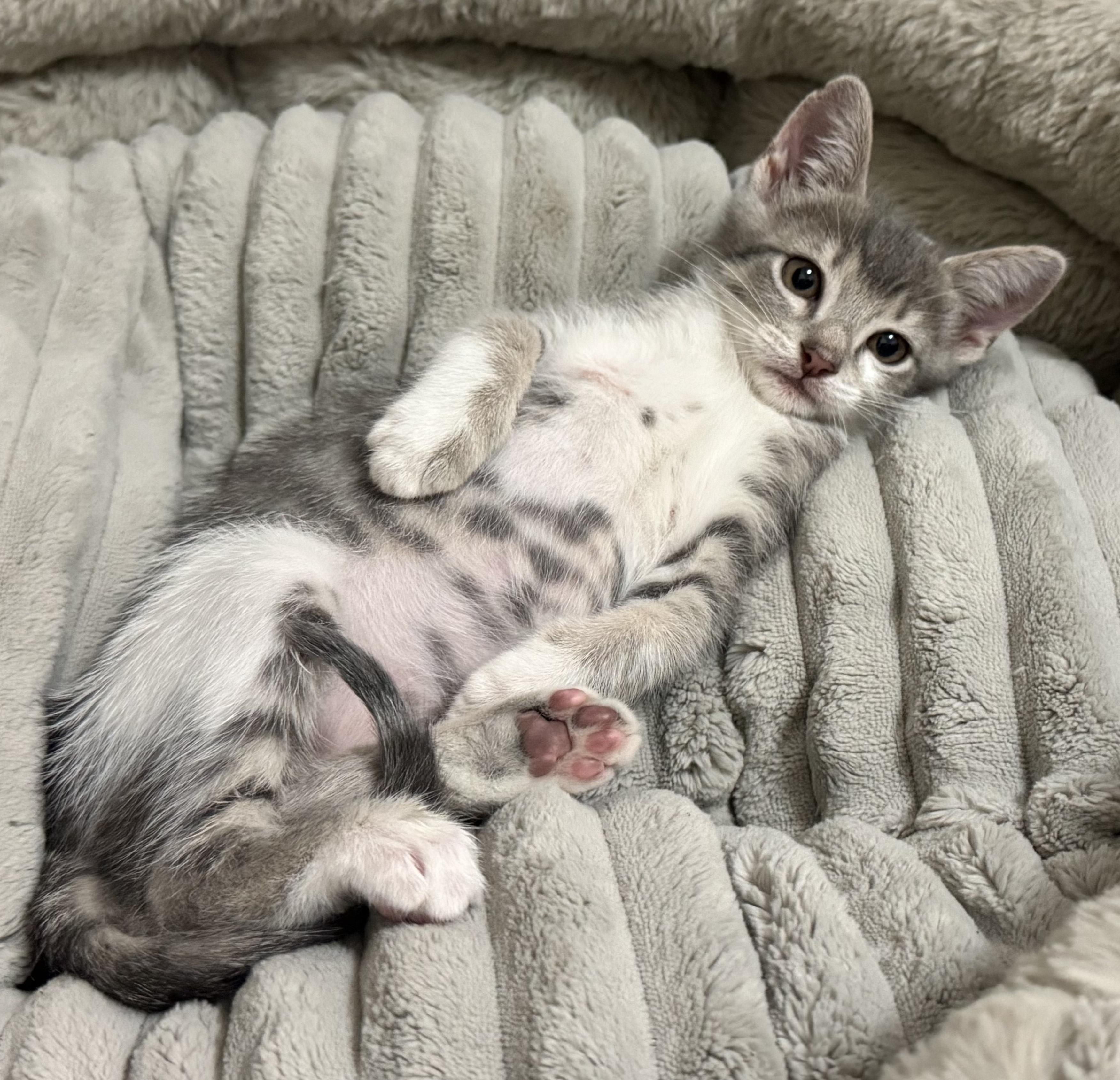 Apple #sister-of-Banana 4