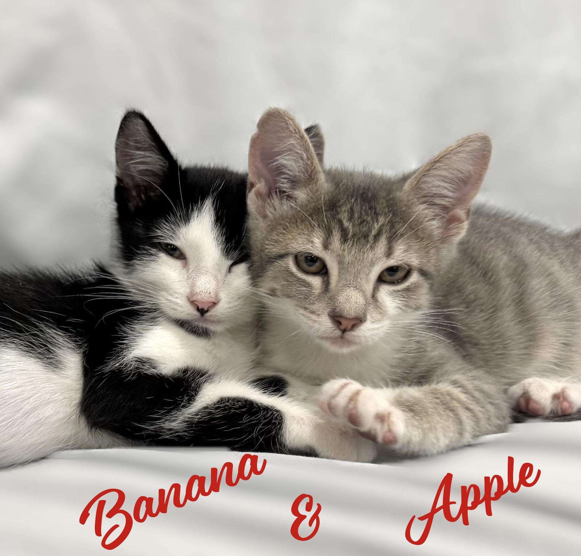 Apple #sister-of-Banana 6