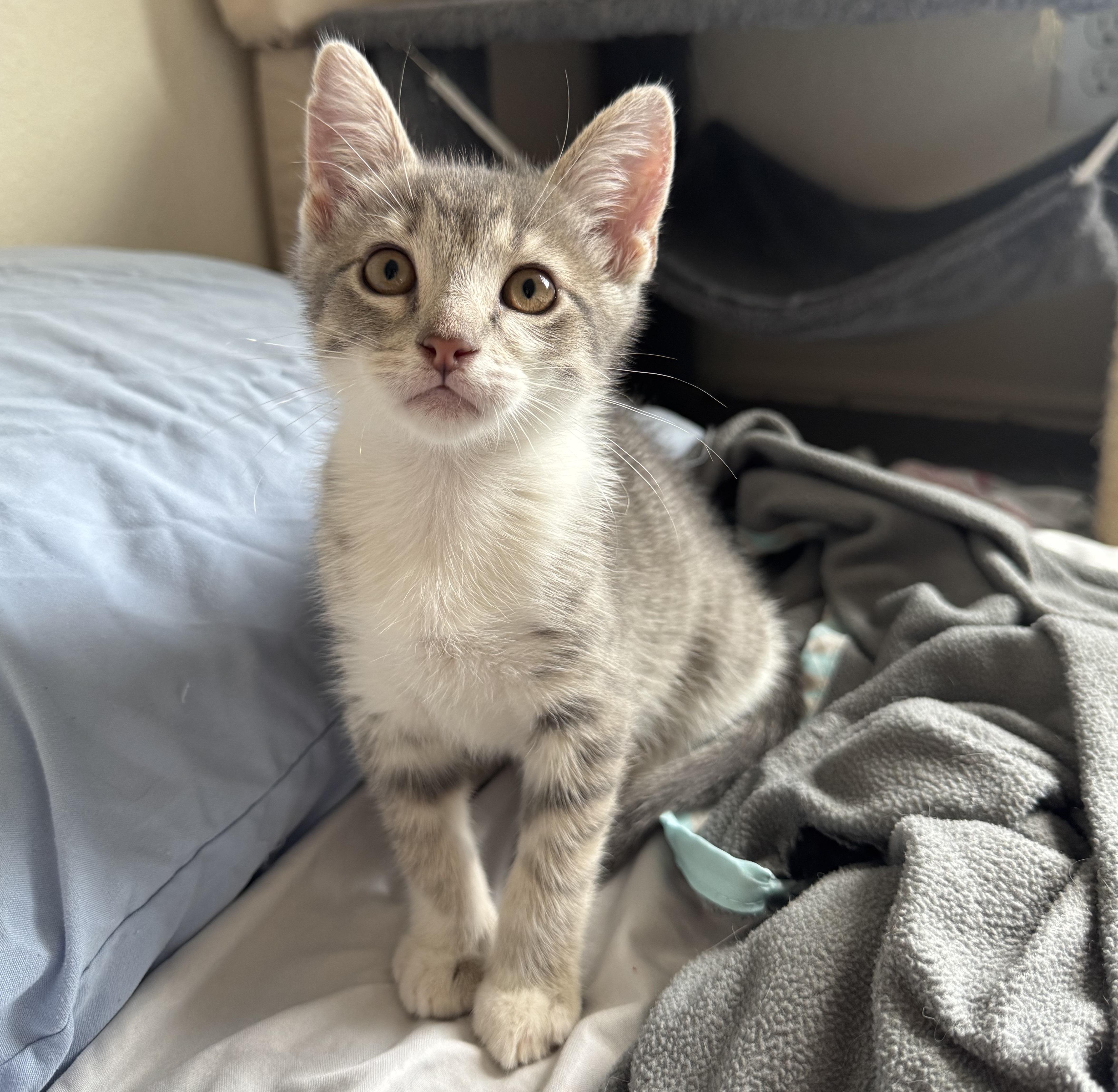 Apple #sister-of-Banana 5