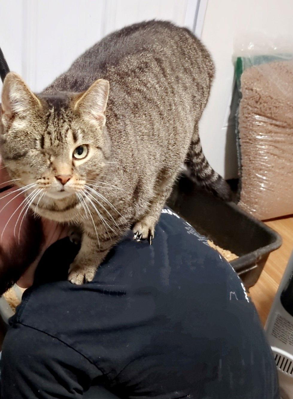 Mindy — thumbnail 2