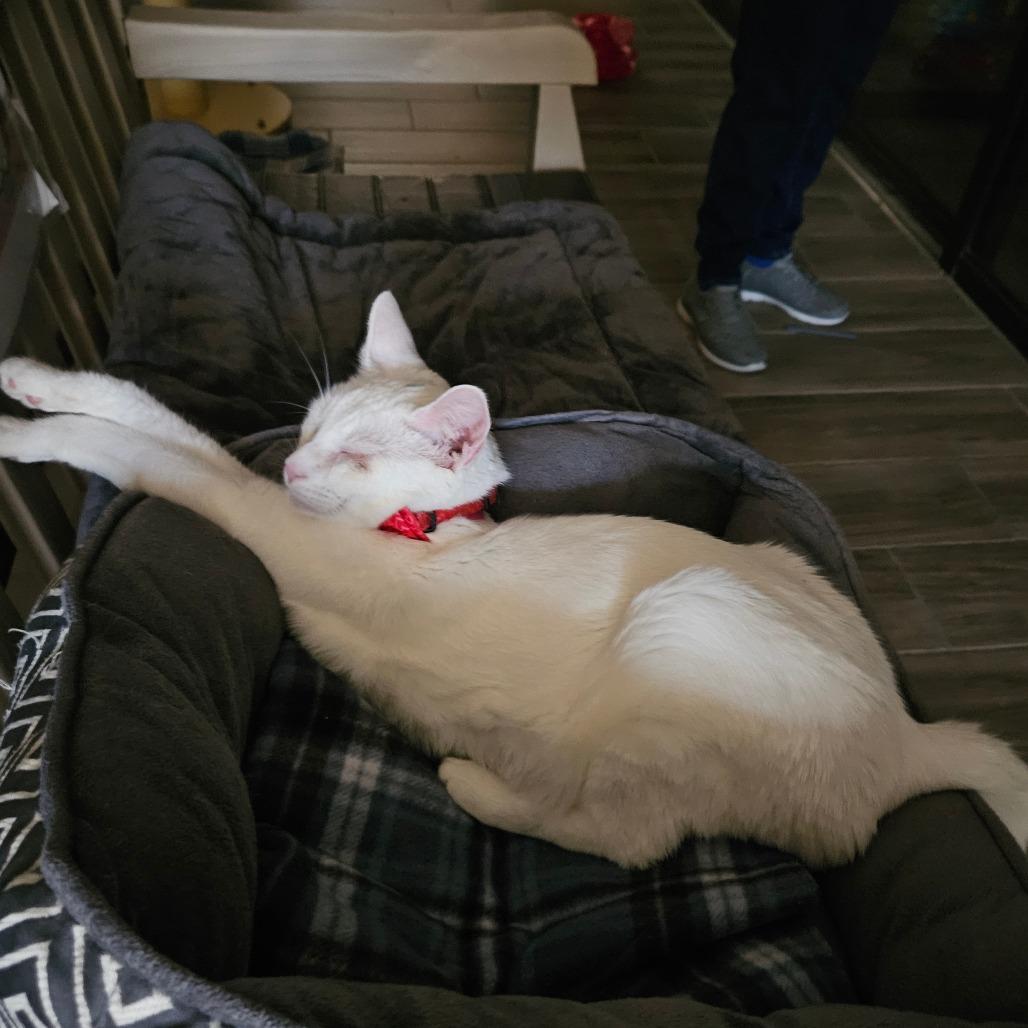 Lucia — thumbnail 4