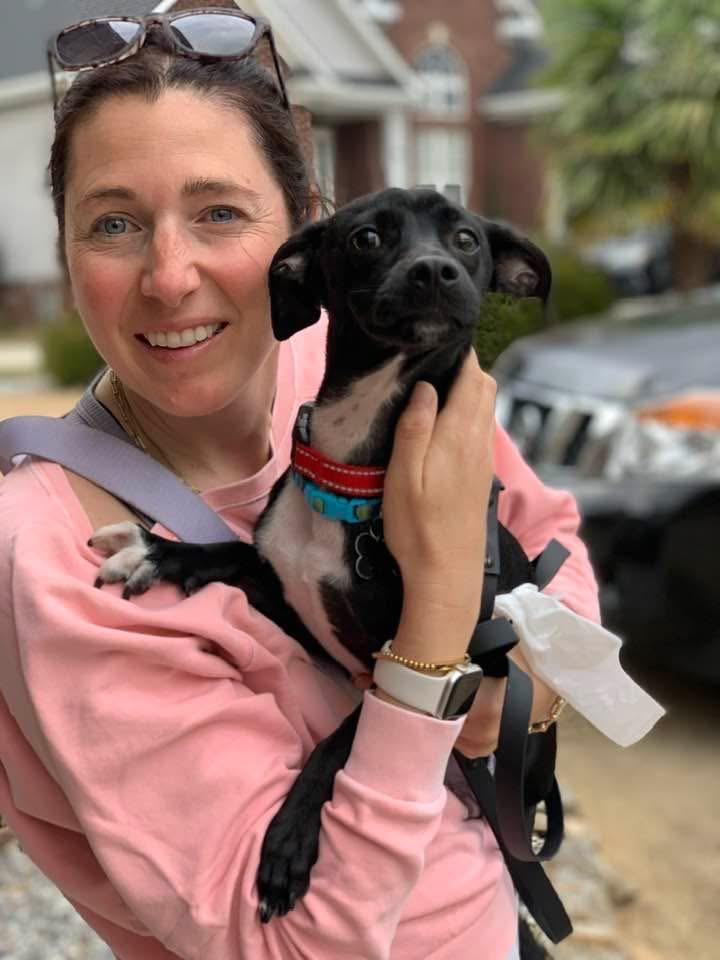 Enlarge Bobo, a ADOPTABLE mixed breed in Douglas, MA image 5/6