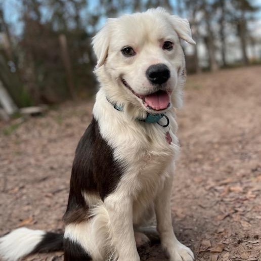 Theodore - Charming, Sweet, Smart!