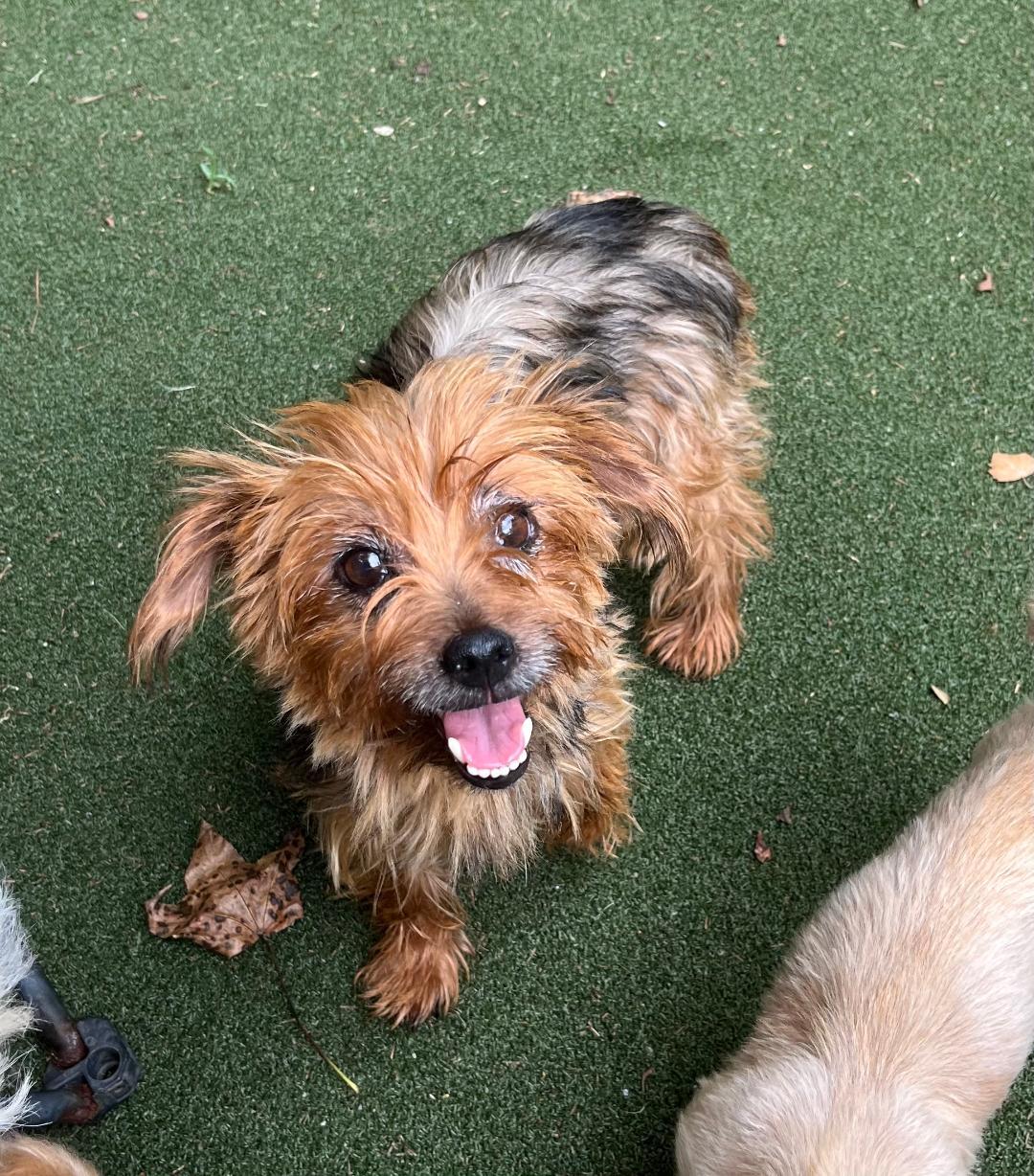 Annabelle thumbnail 3