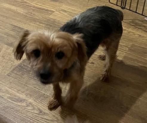 Annabelle thumbnail 2