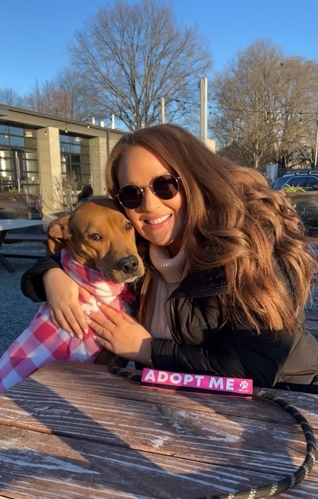 Enlarge Willow, a Adopted mixed breed in Lake Wylie, SC image 4/6