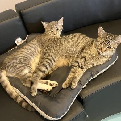 Enza & Linus