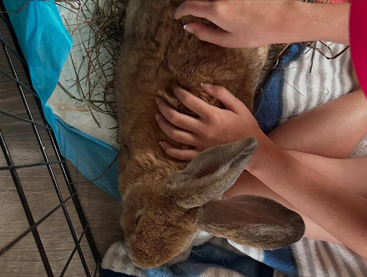 Cashew *bonded to Lupe