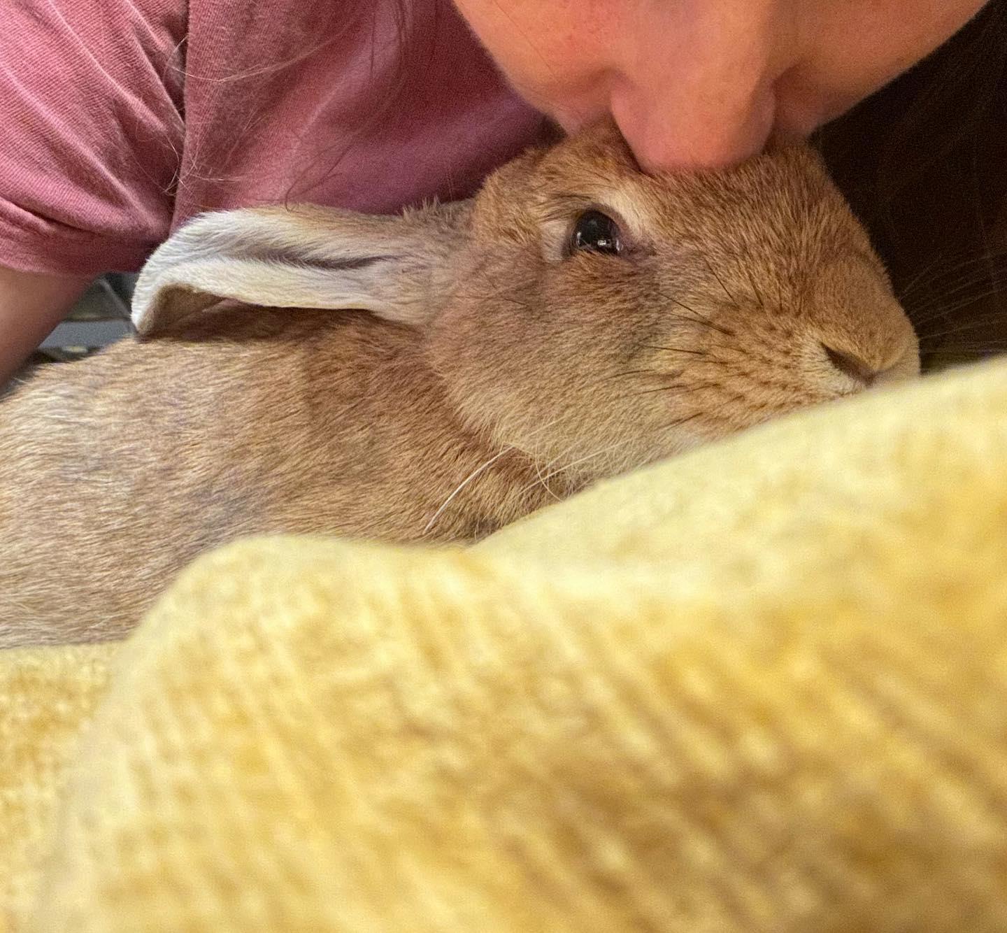 Cashew *bonded to Lupe 3
