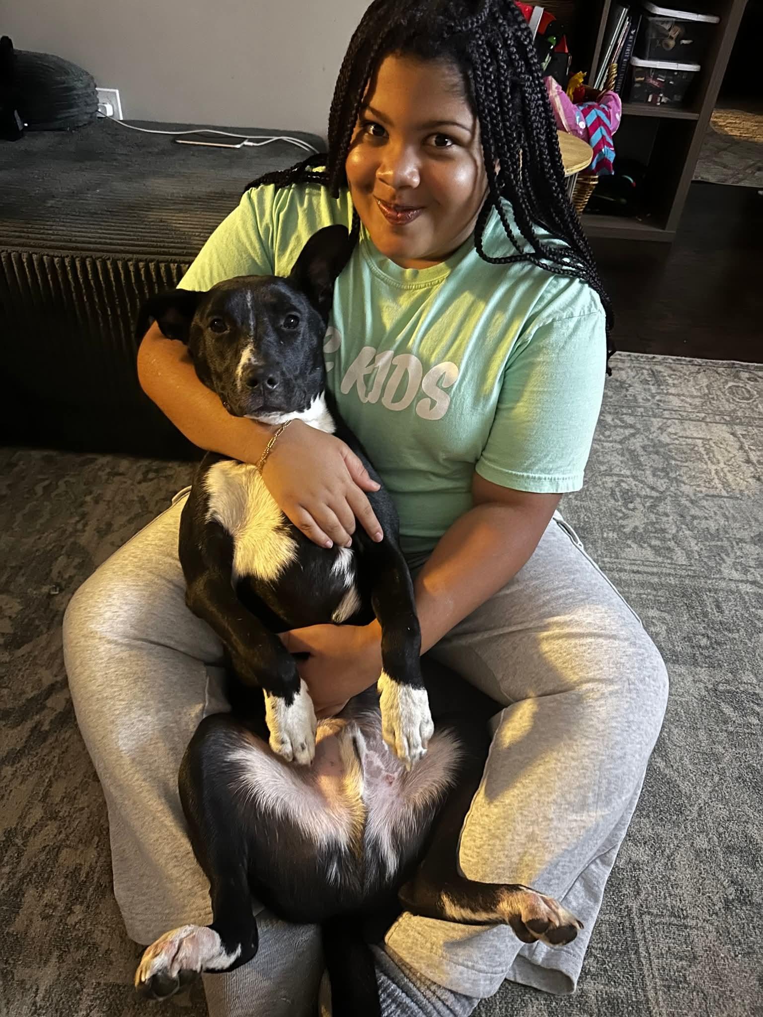 Dimitri, a Adoptable mixed breed in Spring hill, TN image 2/6