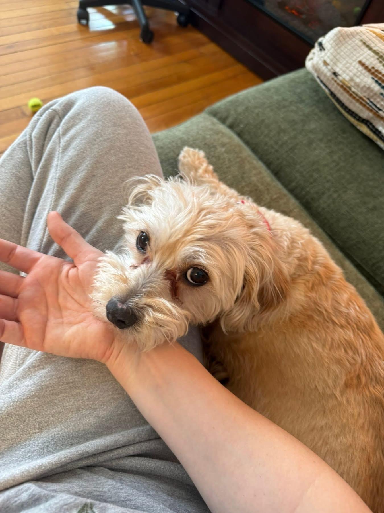 Hootie and Colt — thumbnail 2