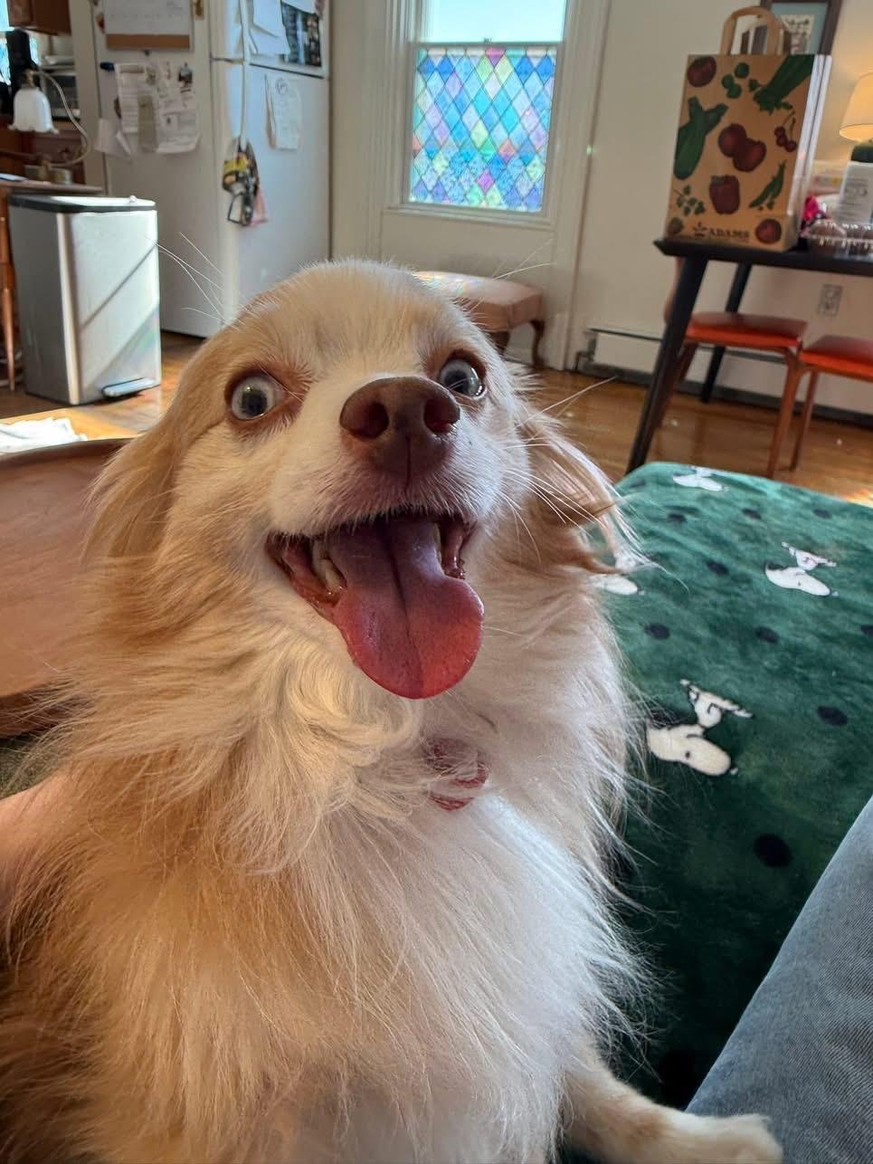 Hootie and Colt — thumbnail 3