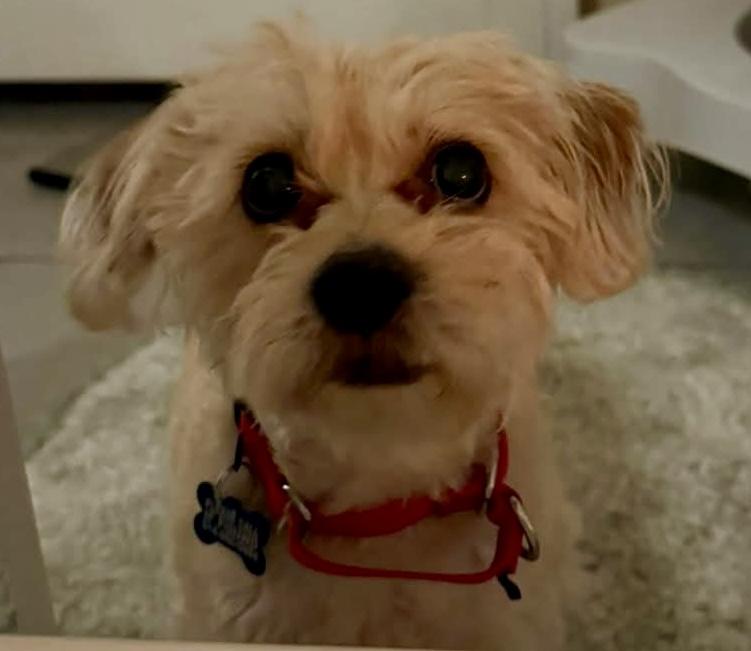 Hootie and Colt — thumbnail 4