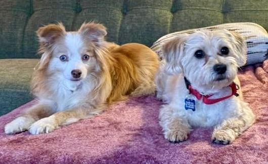 Hootie and Colt — thumbnail 5