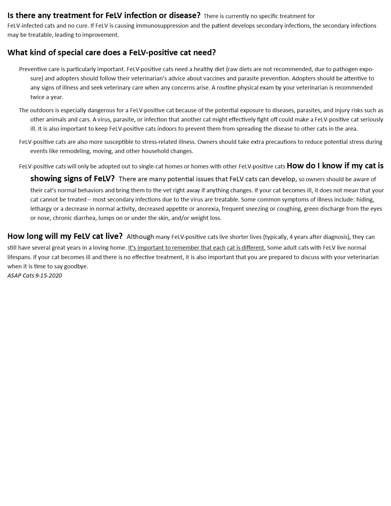 Sylvester, a Adoptable Domestic Medium Hair in Providence, RI image 5/6