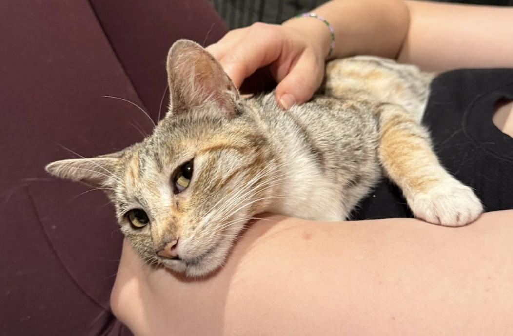 Mama — thumbnail 2