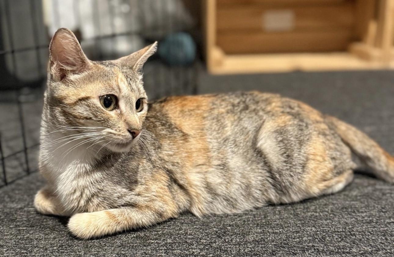 Mama — thumbnail 3