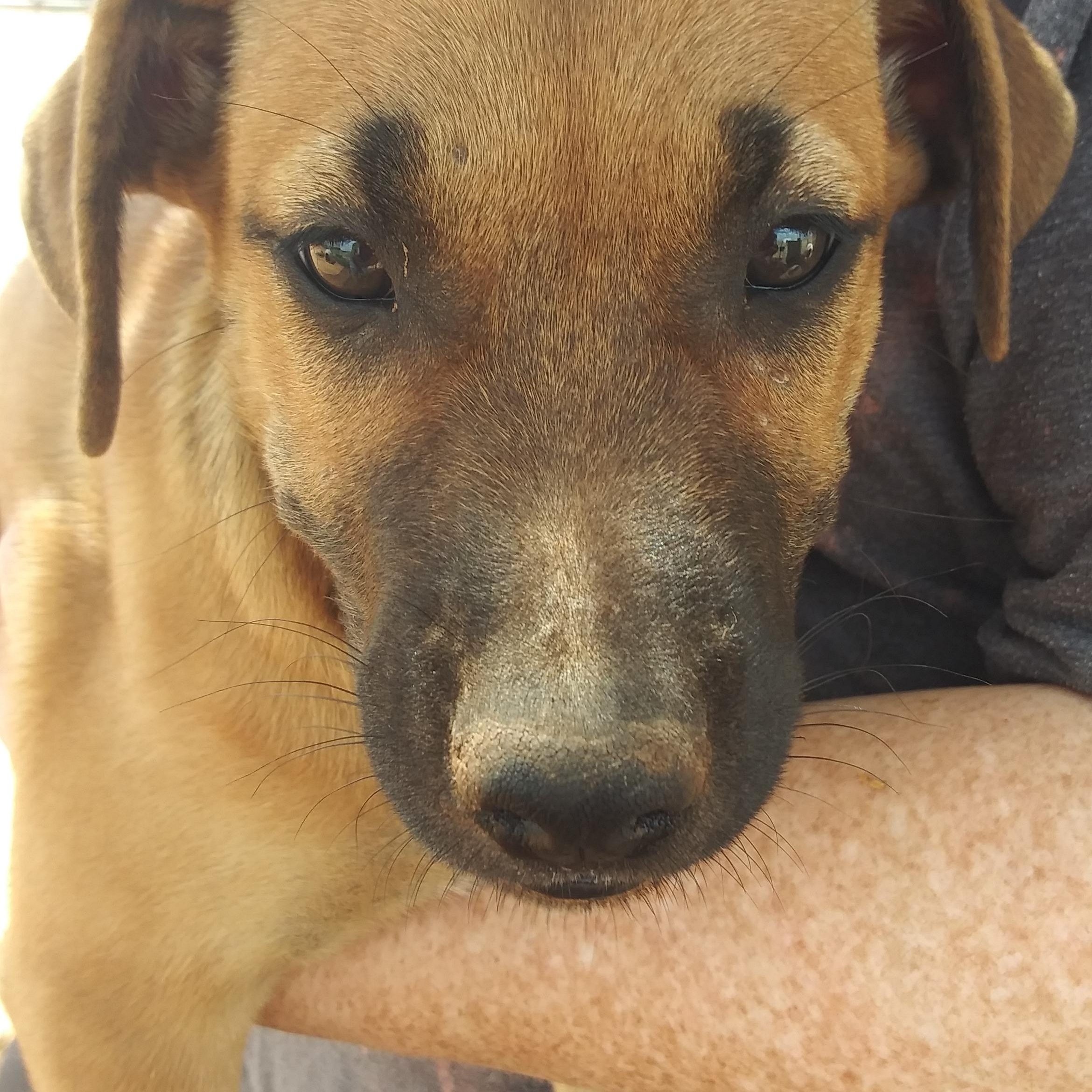 Lukie — thumbnail 2