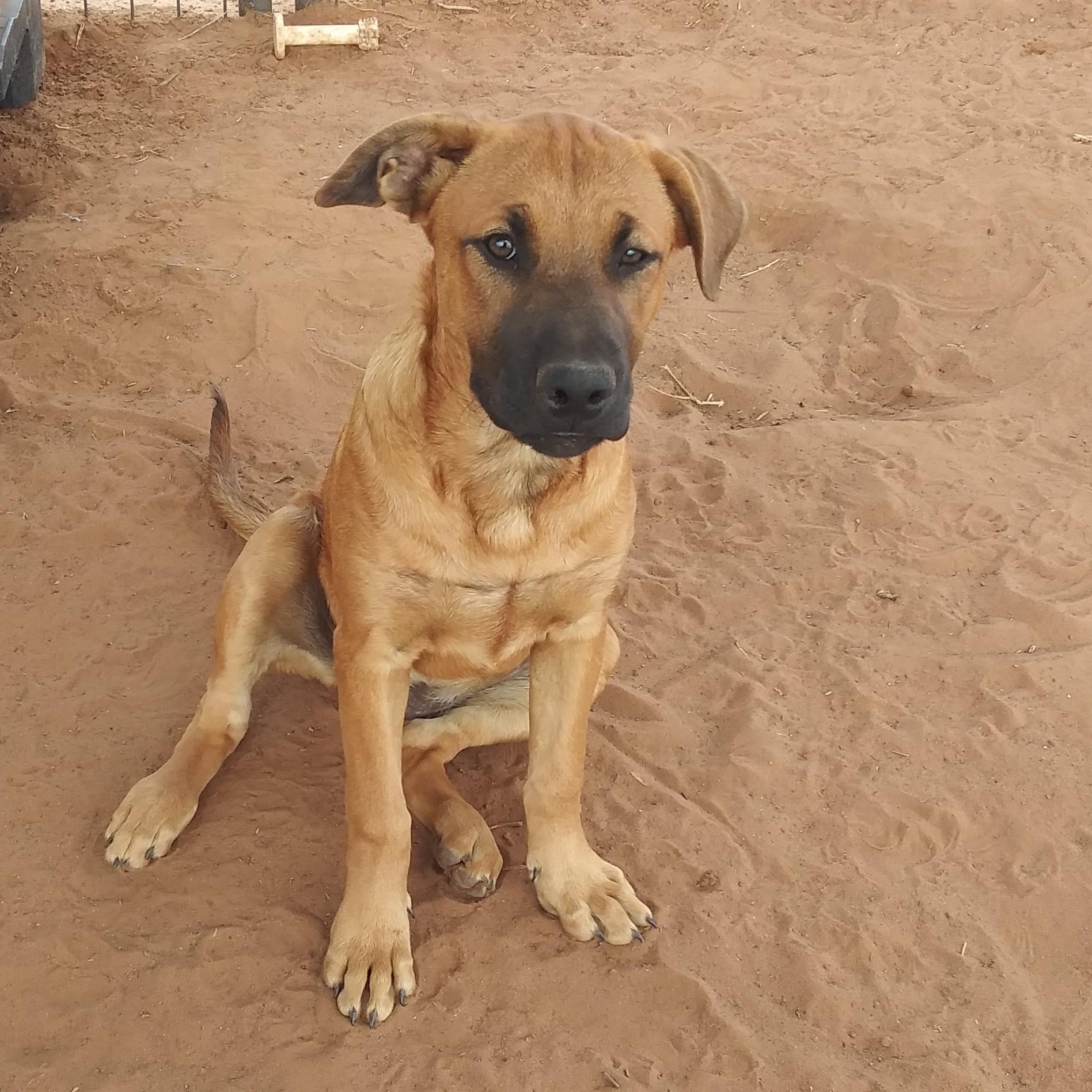 Lukie — thumbnail 3