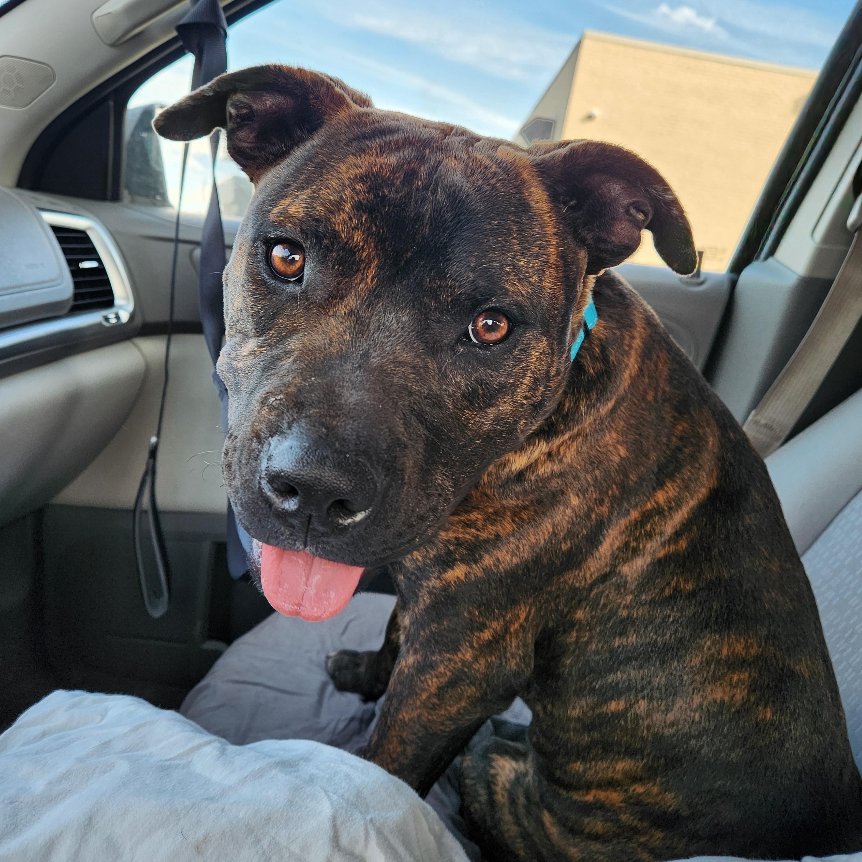 Tobi