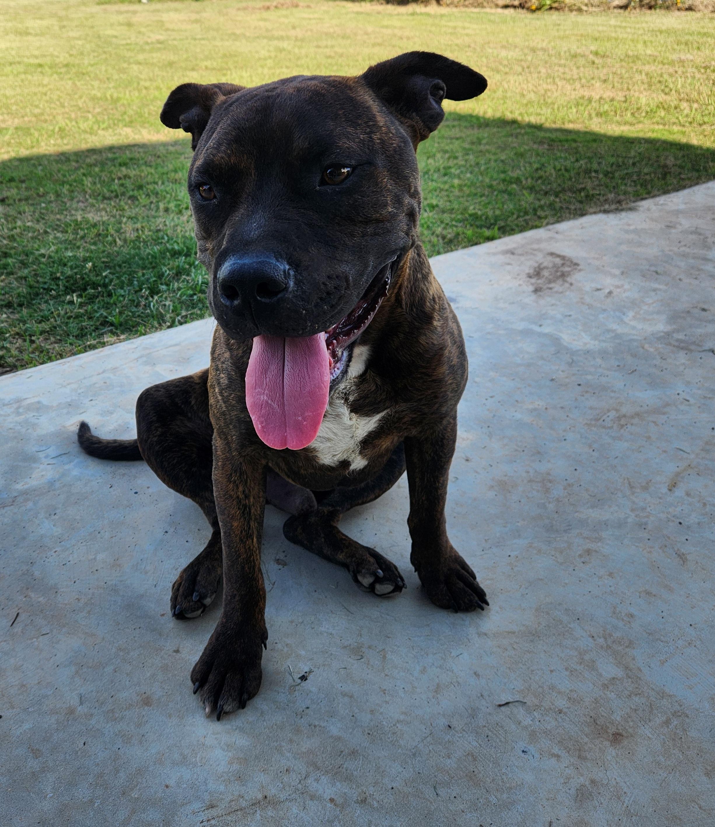 Tobi photo 6