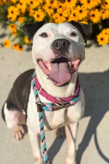 Mood Ring thumbnail 4