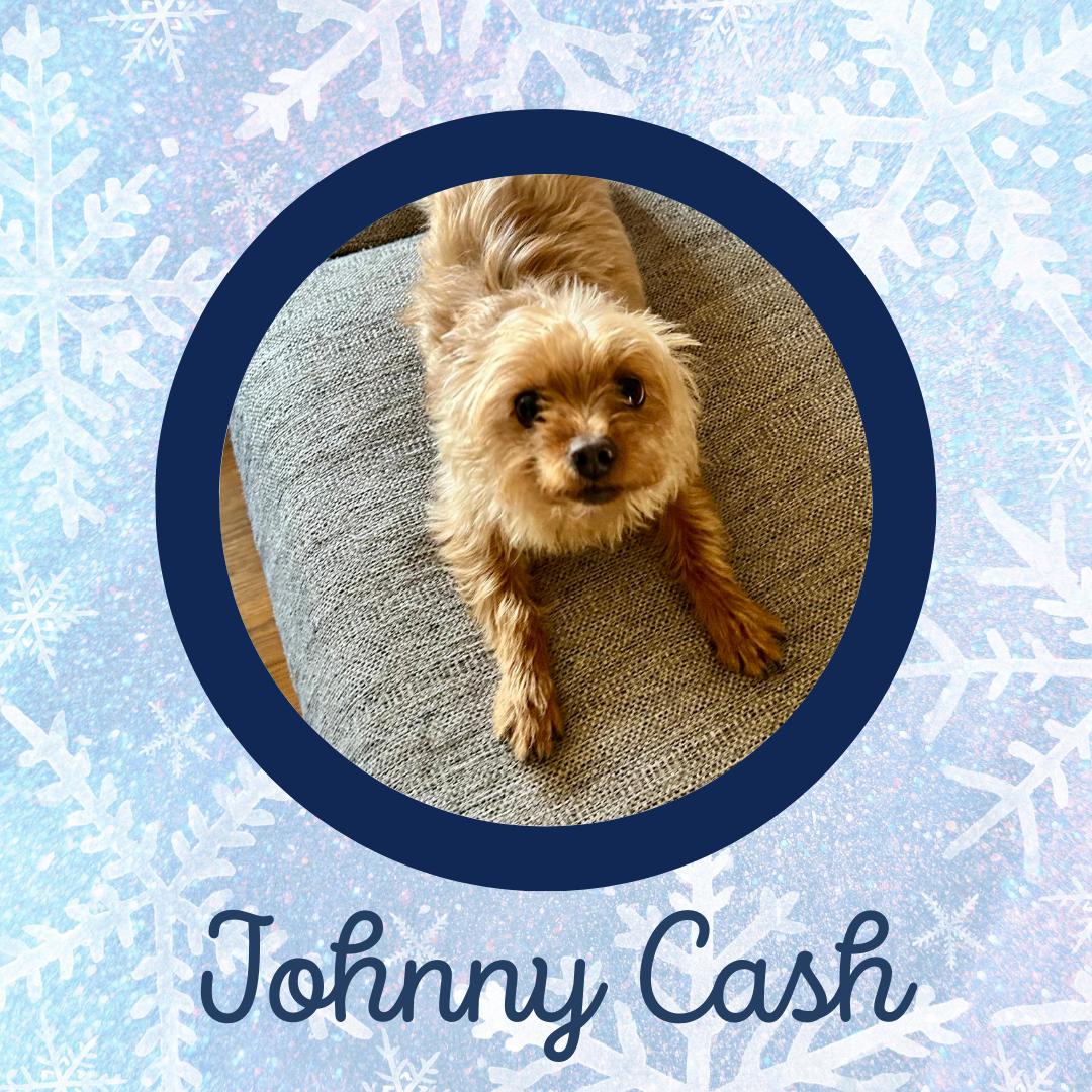 Johnny Cash photo 4