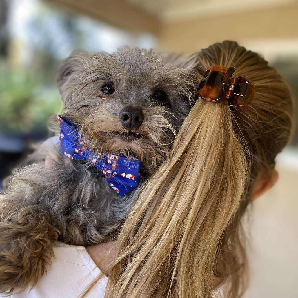 Hubbard — thumbnail 2