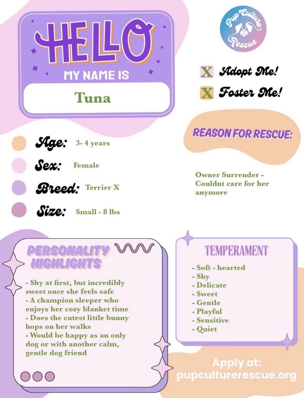 Enlarge Tuna, an adopted mixed breed in Pasadena, CA image 2/4