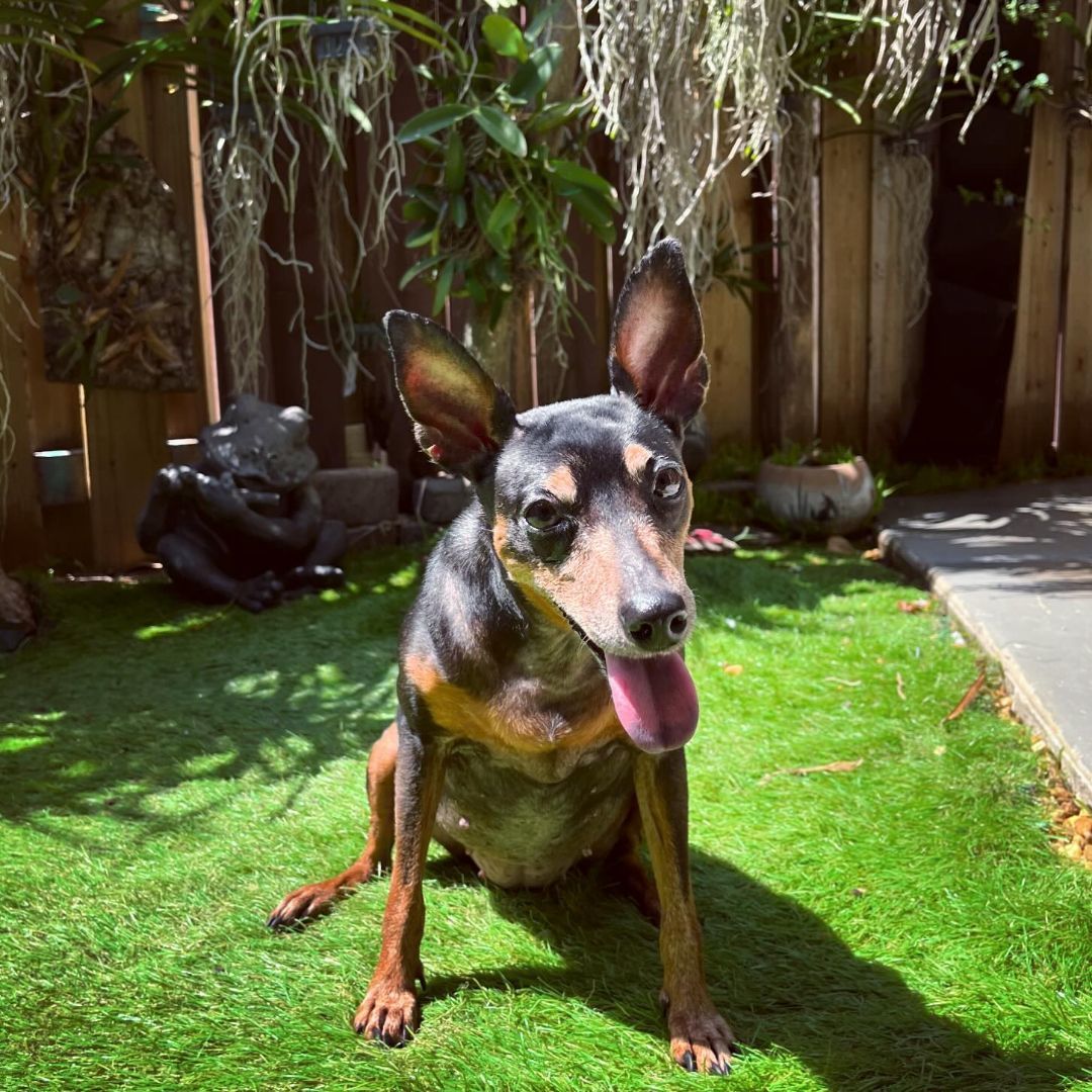Winnie photo 4