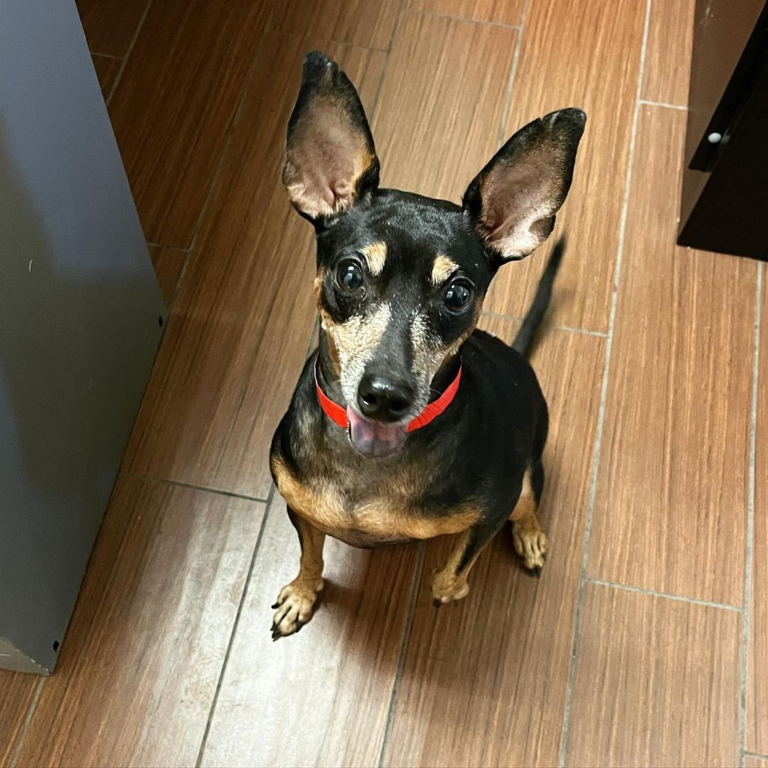 Winnie photo 2