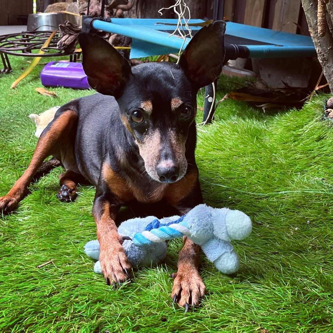 Winnie photo 1