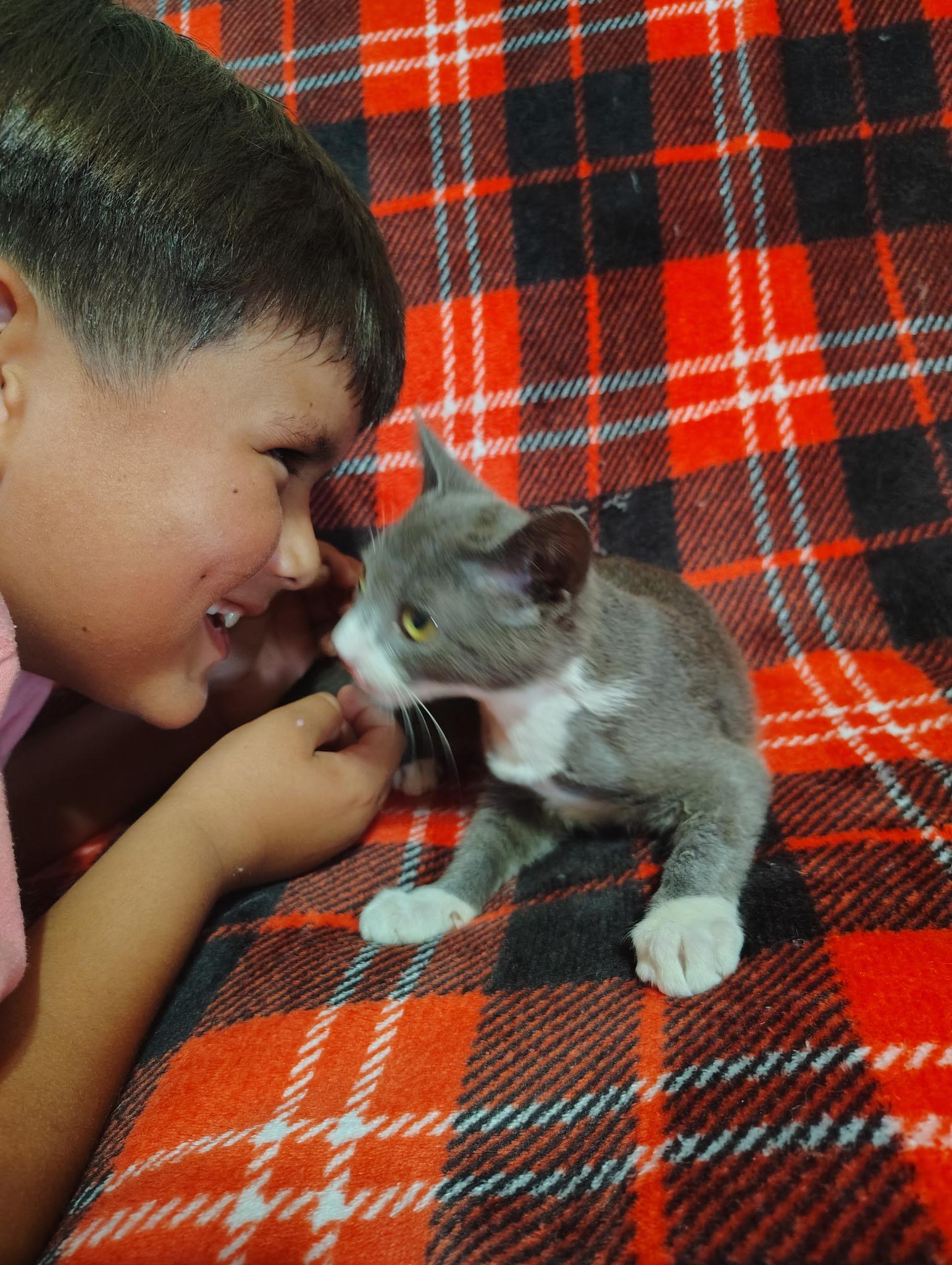 Enlarge Lucky, an adopted mixed breed in Houston, TX image 3/5