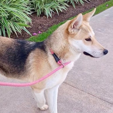 Meet Deja — The thumbnail 5