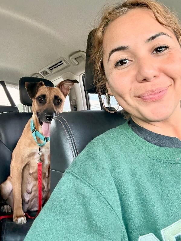 Gigi the Gentle — thumbnail 5