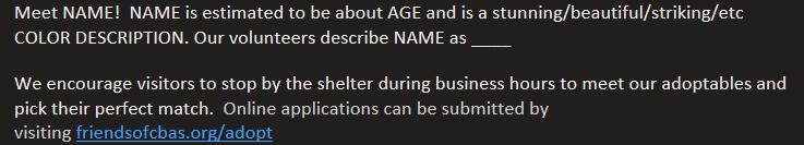 Phoenix, an adopted Domestic Short Hair in Buffalo, NY image 6/6