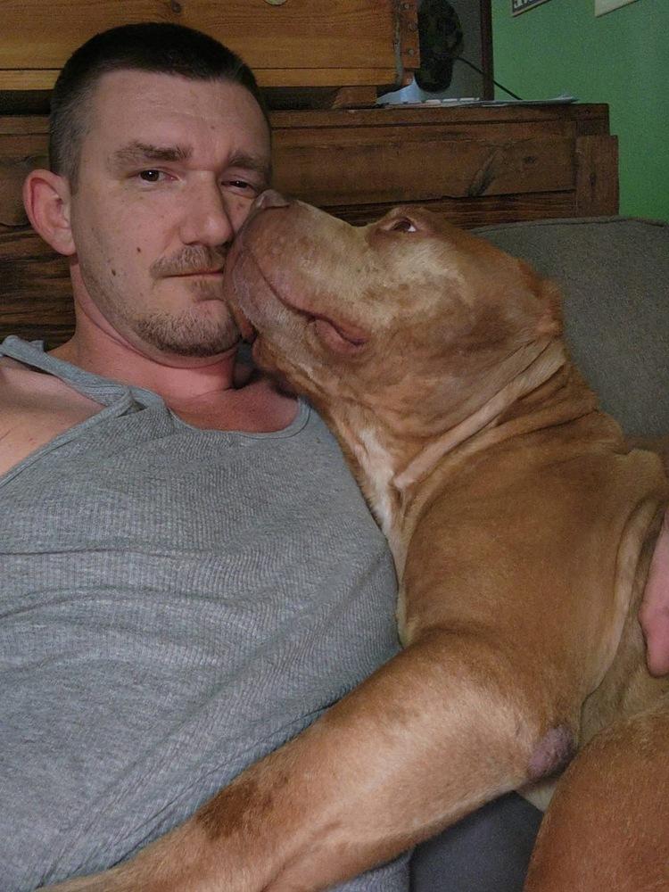 Enlarge Pugsley, a Adoptable Pit Bull Terrier in Irwin, PA image 6/6