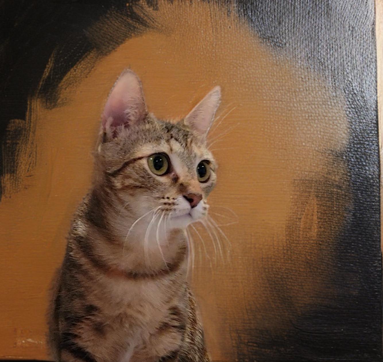 Enlarge Jasmine, an adopted mixed breed in OVERLAND PARK, KS image 2/5