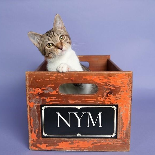 Nym Bard — thumbnail 2