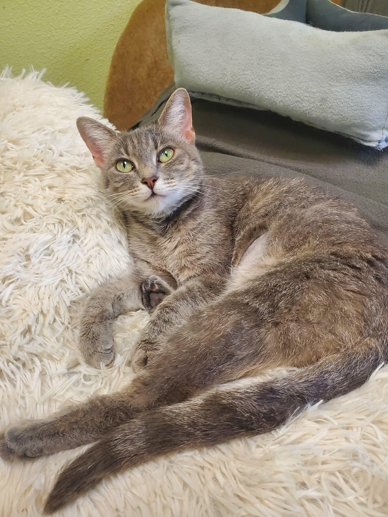 Monica