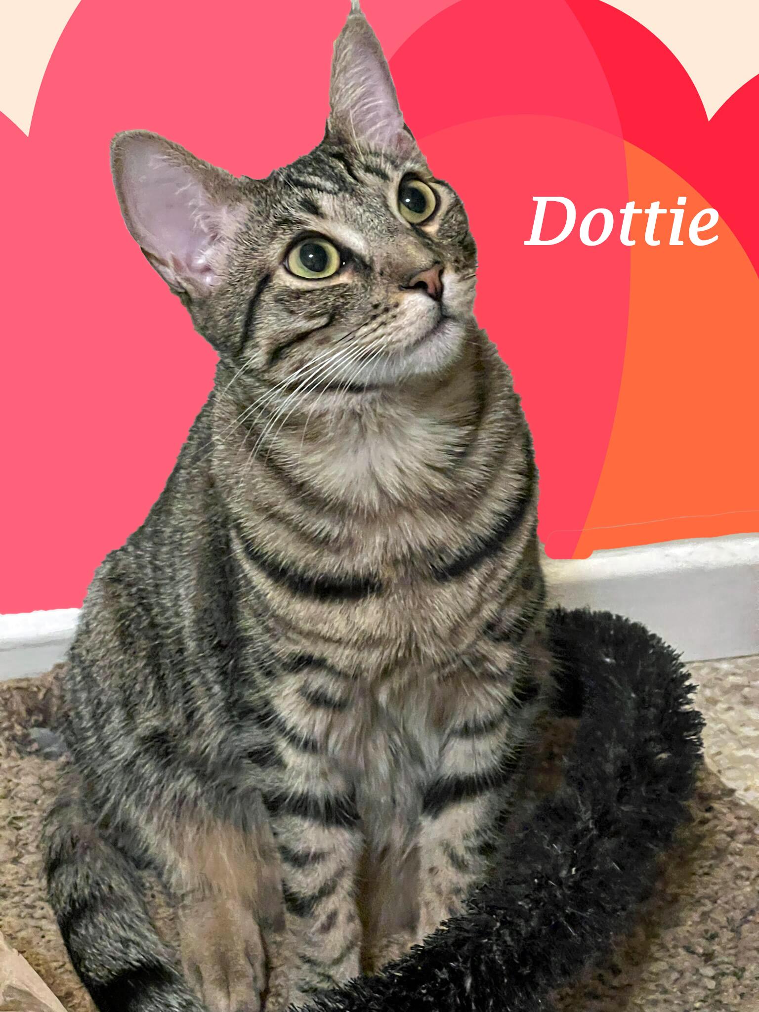 DOTTIE