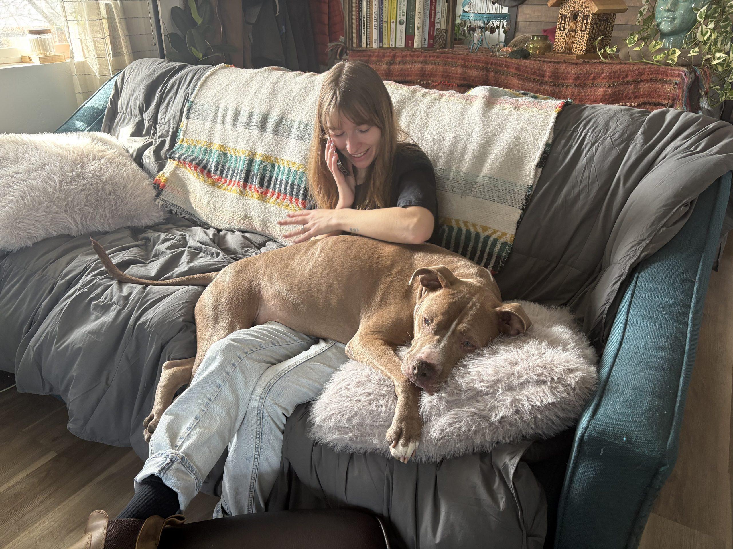 Enlarge Alfred, a Adoptable mixed breed in Grand Junction, CO image 1/6