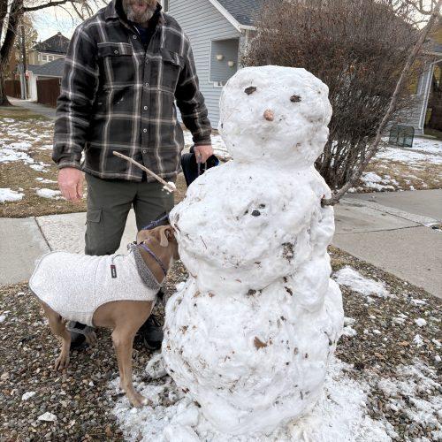 Enlarge Alfred, a Adoptable mixed breed in Grand Junction, CO image 1/6